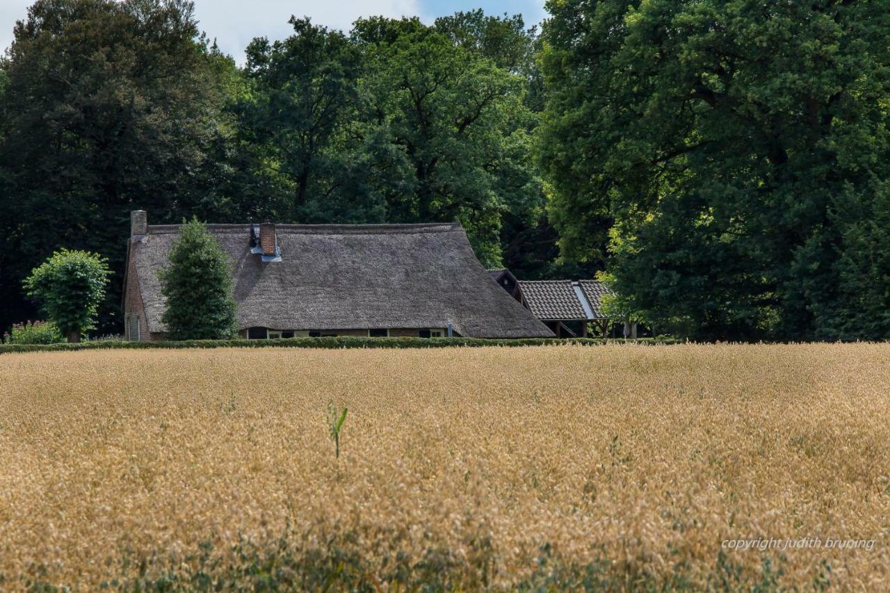 Jelly'S Hoeve (Adults Only) Havelte Exteriér fotografie